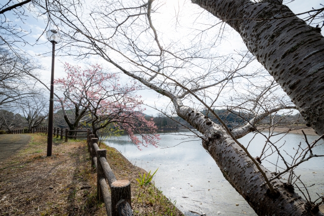 宇土　廃車買取　立岡自然公園